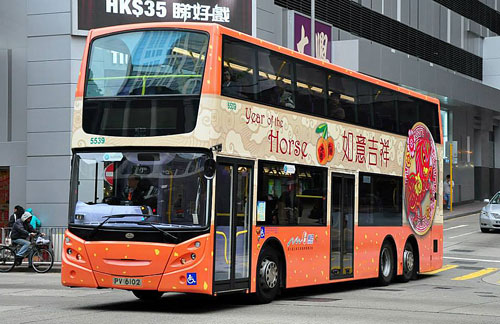 Click on image for larger photograph