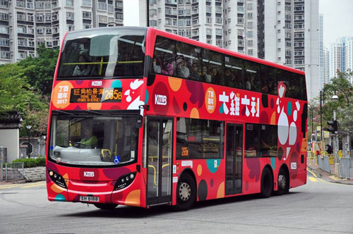 Click on image for larger photograph