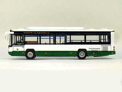 Click on image for larger photograph