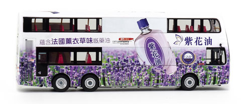 Click on image for a larger photograph