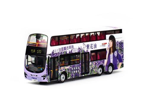 Click on image for a larger photograph