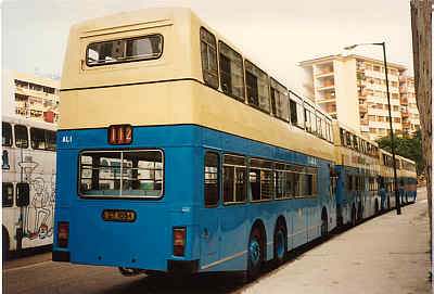 Click on image for larger photograph