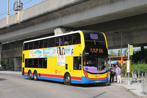 Click on image for larger photograph