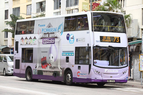 Click on image for larger photograph