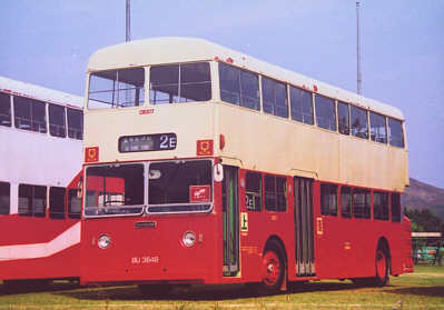 Click on image for larger photograph