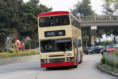 Click on image for larger photograph