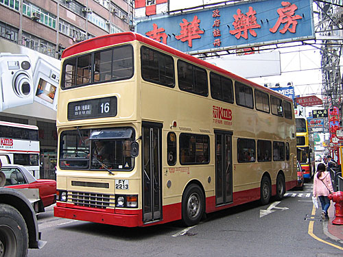 Click on image for larger photograph