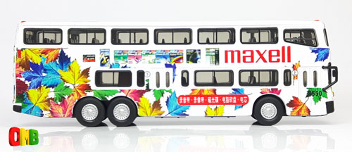 Click on image for larger photograph