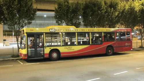 Click on image for larger photograph