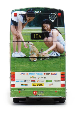 Click on image for larger photograph