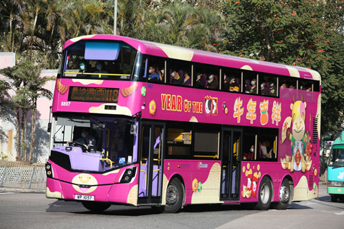 Click on image for larger photograph