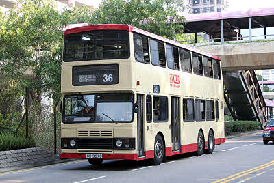 Click on image for larger photograph