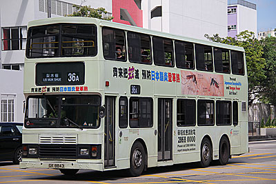 Click on image for larger photograph