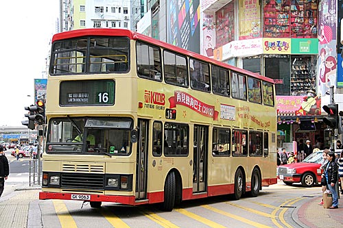 Click on image for larger photograph