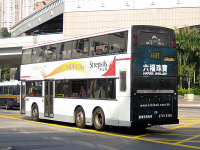 Click on image for larger photograph