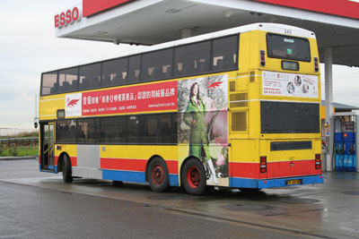 Click on image for larger photograph