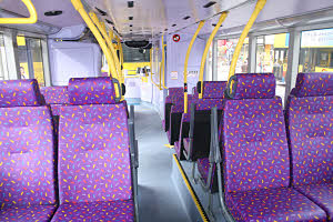 Click on image for larger photograph