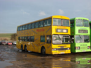 Click on image for larger photograph