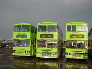 Click on image for larger photograph