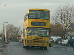 Click on image for larger photograph