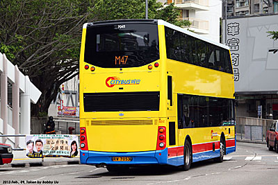 Click on image for larger photograph