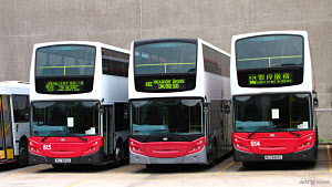 Click on image for larger photograph