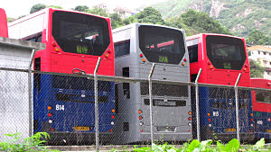 Click on image for larger photograph