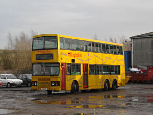 Click on image for larger photograph