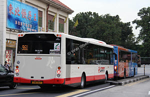 Click on image for larger photograph