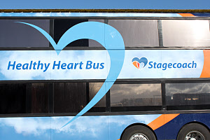 Click on image for larger photograph