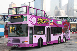 Click on image for larger photograph