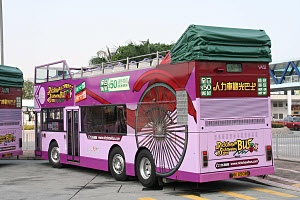 Click on image for larger photograph