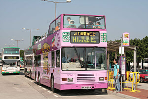 Click on image for larger photograph