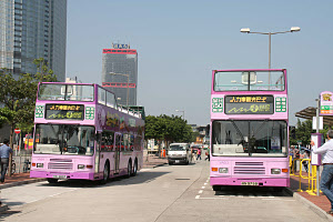 Click on image for larger photograph