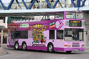 Click on image for larger photograph