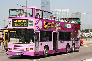 Click on image for larger photograph