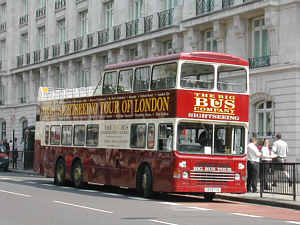 Click on image for larger photograph