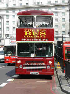 Click on image for larger photograph