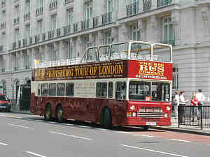 Click on image for larger photograph