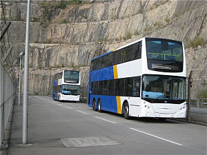 Click on image for larger photograph