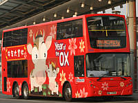 2009 - The Year of the Ox