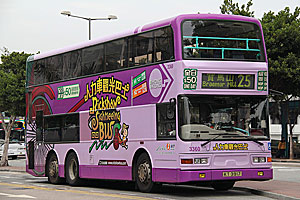 Click on image for larger photograph