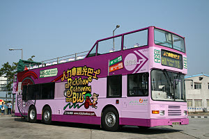 Click on image for larger photograph