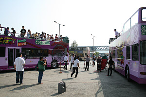 Click on image for larger photograph