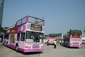 Click on image for larger photograph